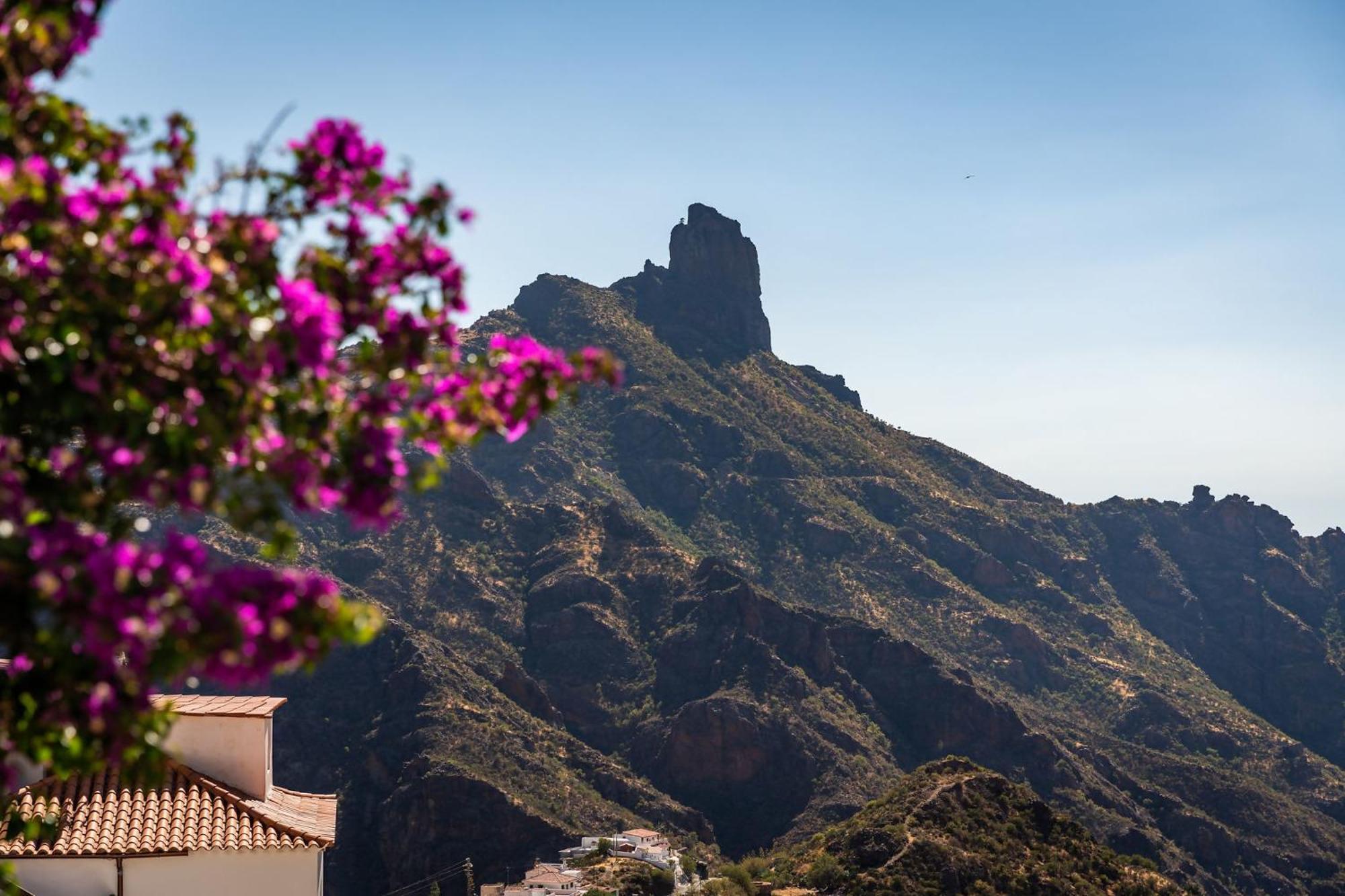 Macaronesia Lpa Suites Las Palmas de Gran Canaria Exterior foto